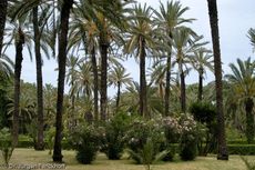 Sizilien (301 von 565).jpg